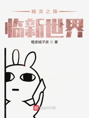 精灵之平行世界的训练师