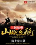 三国最强山贼系统