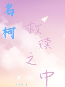 名柯：救赎之中