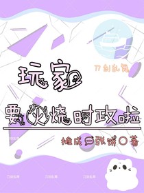 刀剑乱舞：玩家要火烧时政啦