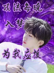 顶流每晚入梦为我应援