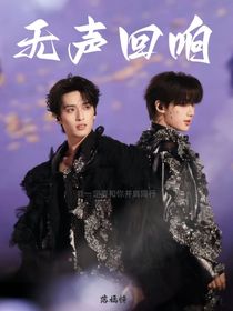 鑫翔：无声回响