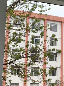 神快之写到哪算哪