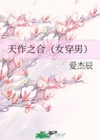 天作之合（女穿男）